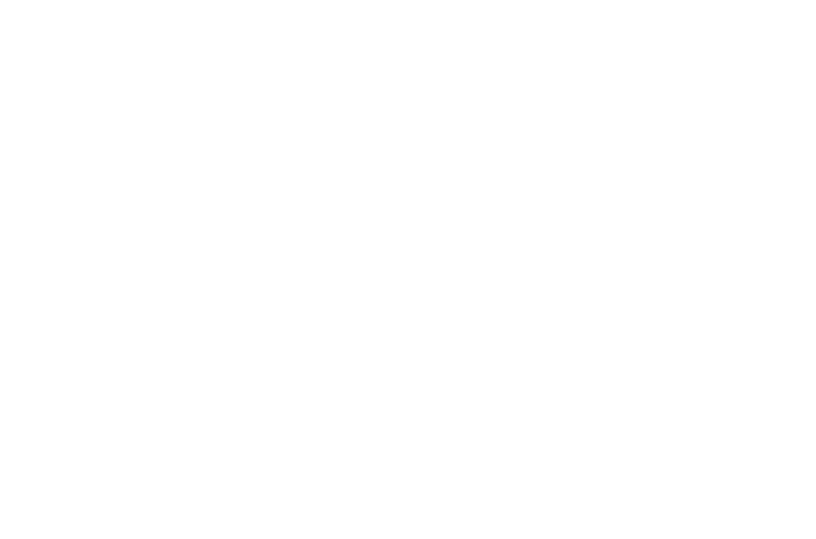 FlowDrive